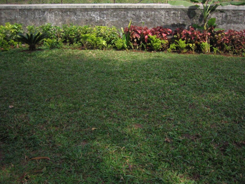 Hotel Ferreira Resort Lonavala Kültér fotó